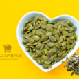 Organic Pumpkin Seeds (American)