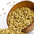 Organic Madras Coriander Seeds